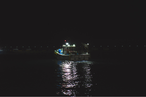 夜に行われる桜えび漁