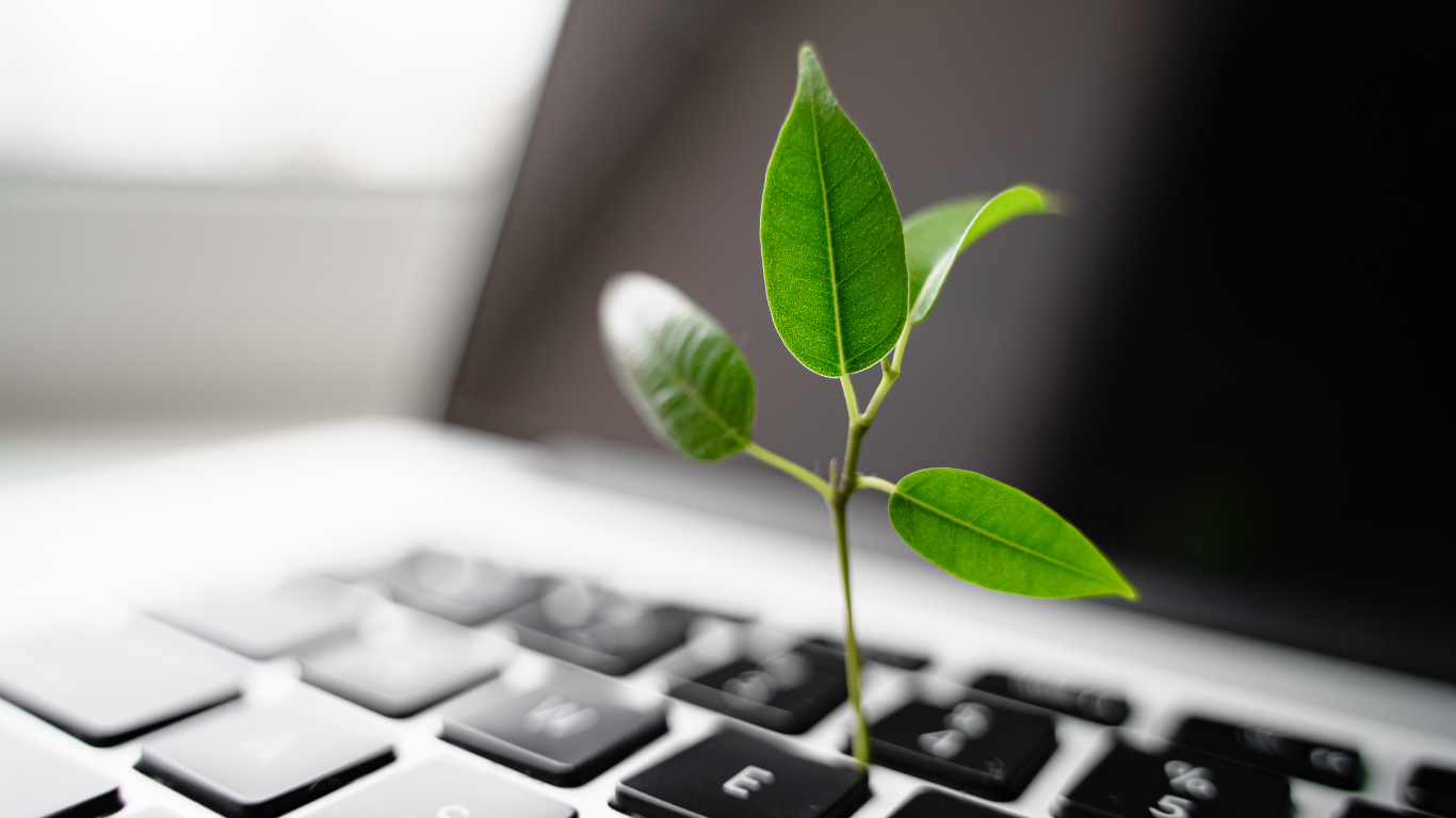 Telemedicine with Purpose: Real Benefits for Rural Healthcare and the Planet