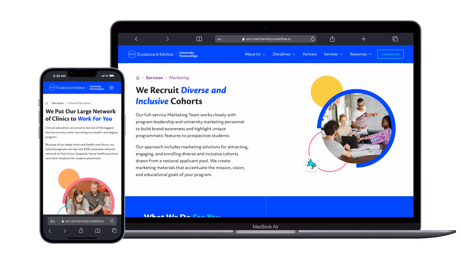 Screenshot of a services page detailing offerings for institutional partners.