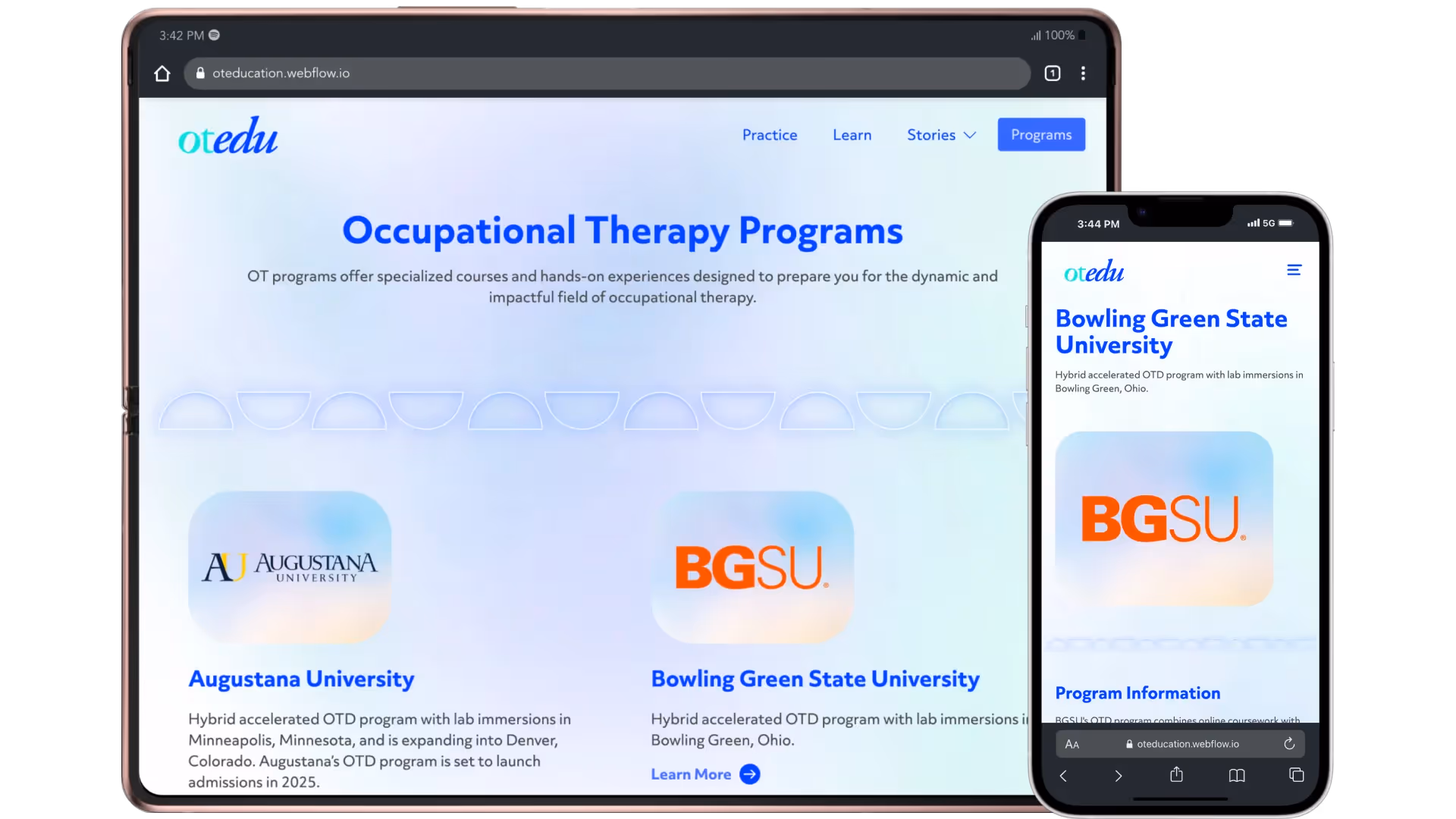 Webpage section presenting occupational therapy program options and guidance for prospective students.