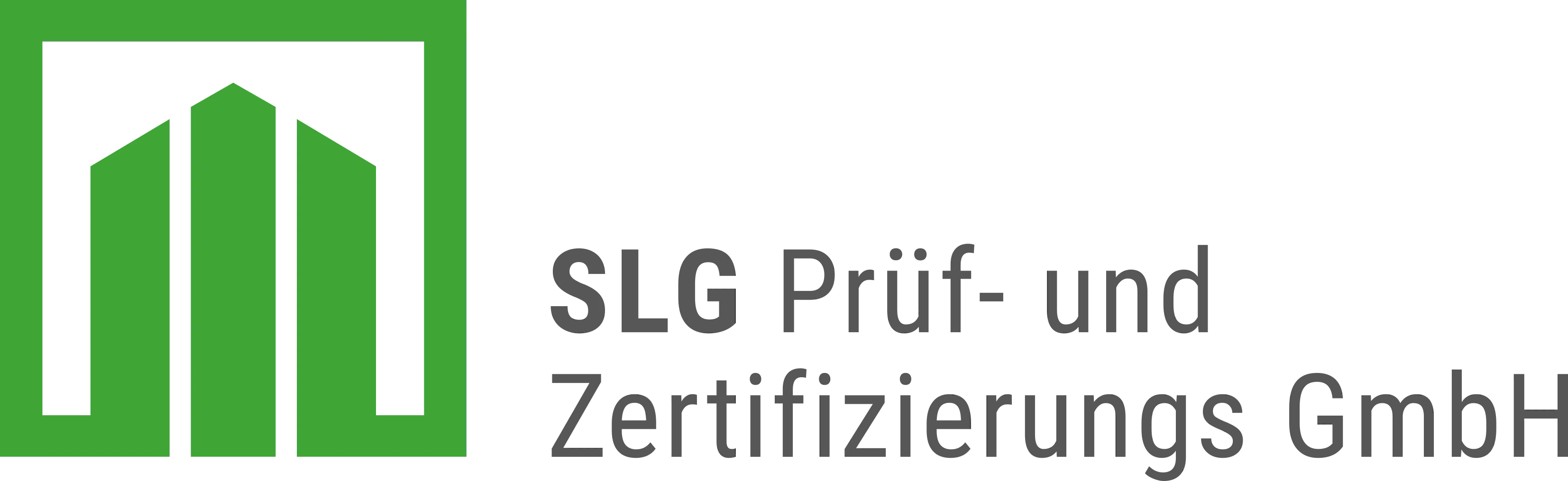 Logo des Docusnap Referenzkunden SLG Prüf- und Zertifizierungs GmbH