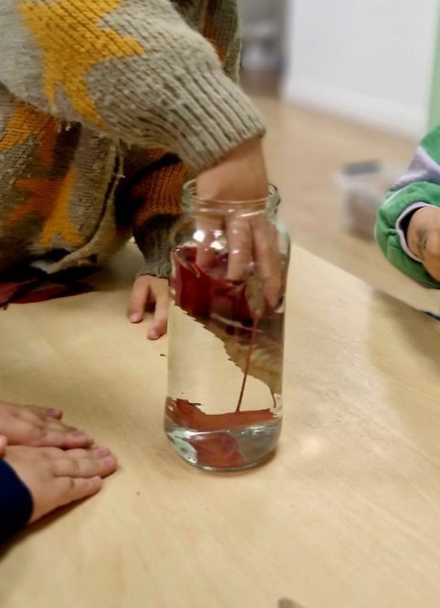 Ecole Montessori bilingue Paris 8 : pédagogie par le concret même pendant les ateliers bilingues du mercredi