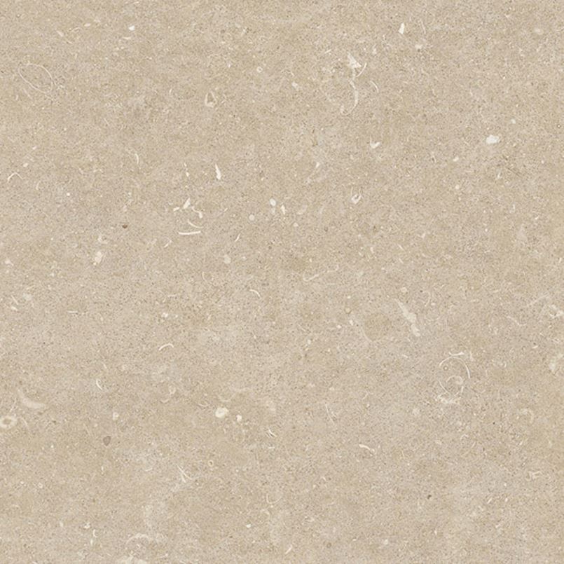 Douglas & Jones 120X120X2 cm Conchiglia