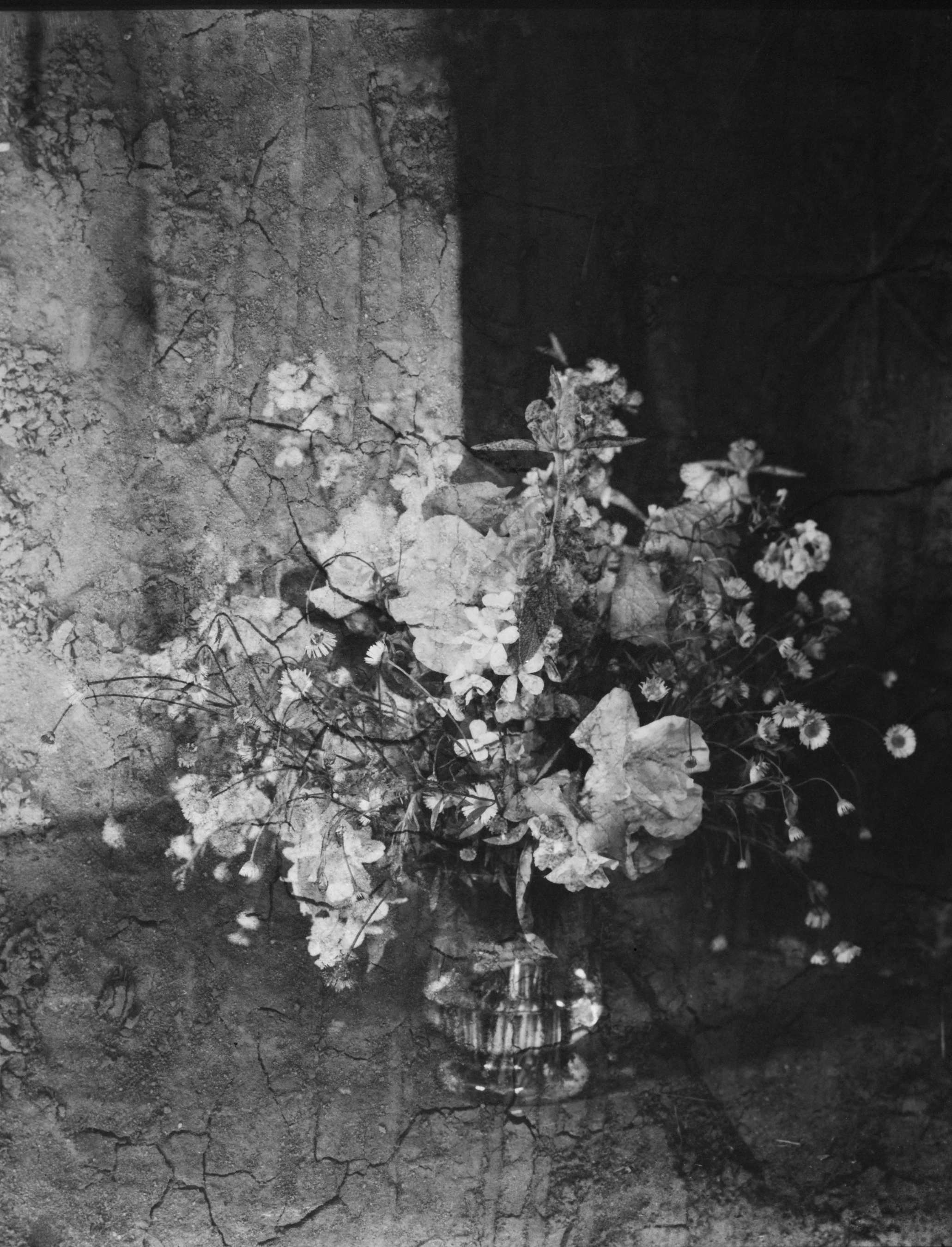 INSTANTS Palmer Leica Alexandra Catiere - Tout en ce lieu me survivra (2026)