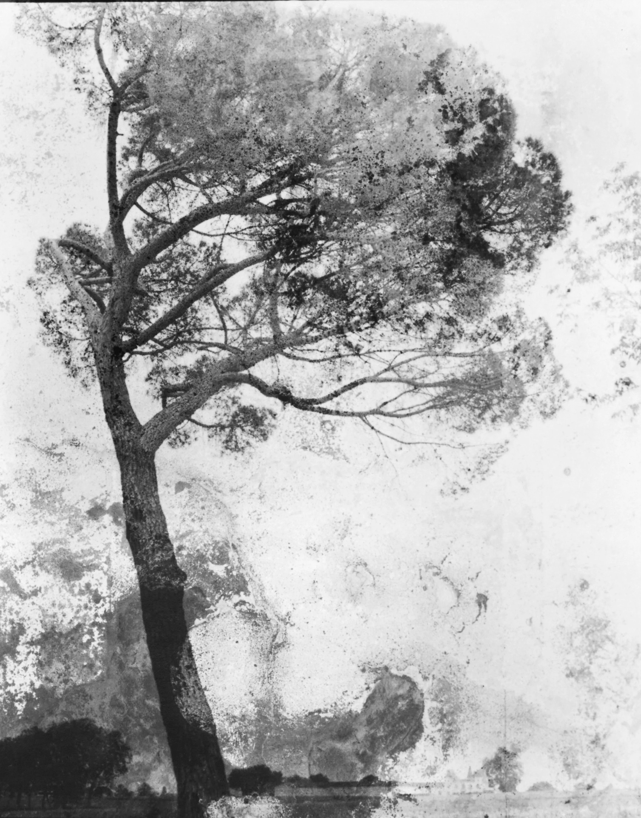 INSTANTS Palmer Leica Alexandra Catiere - Tout en ce lieu me survivra (2026)