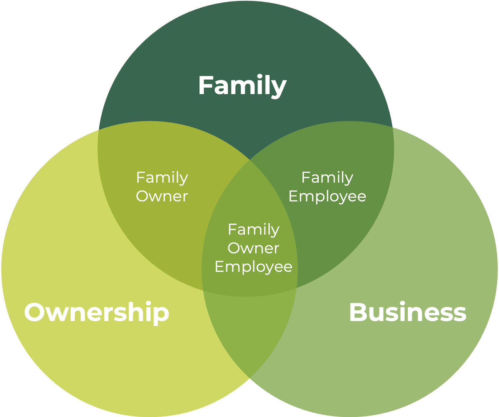 Three Circle Model diagram showing Family, Ownership, and Business