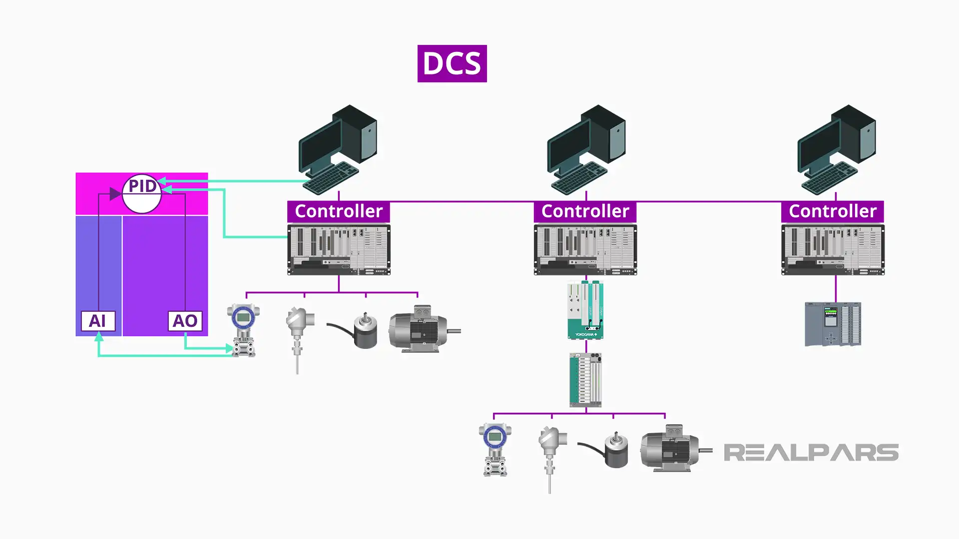 DCS basic structure