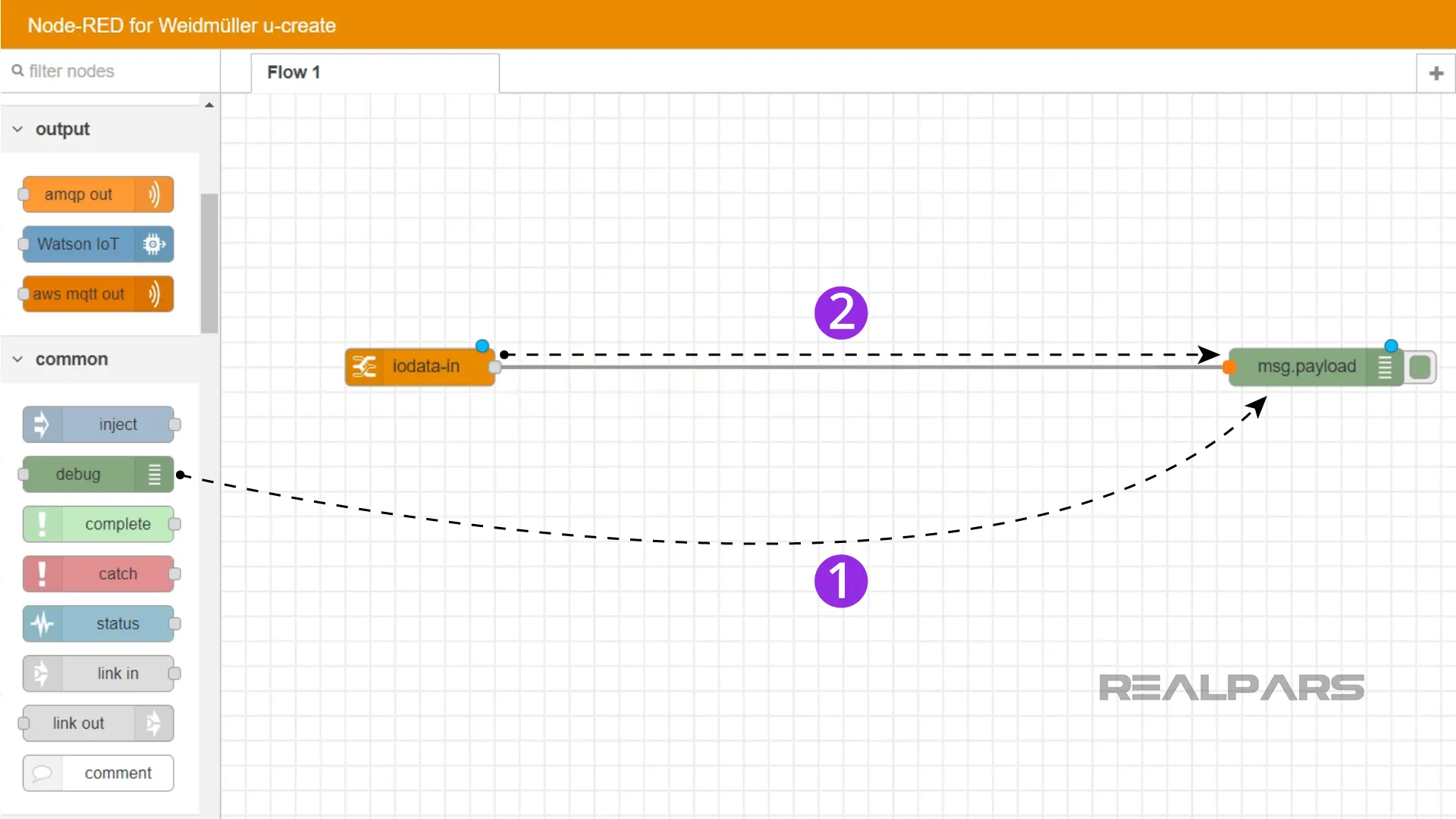 Debug node