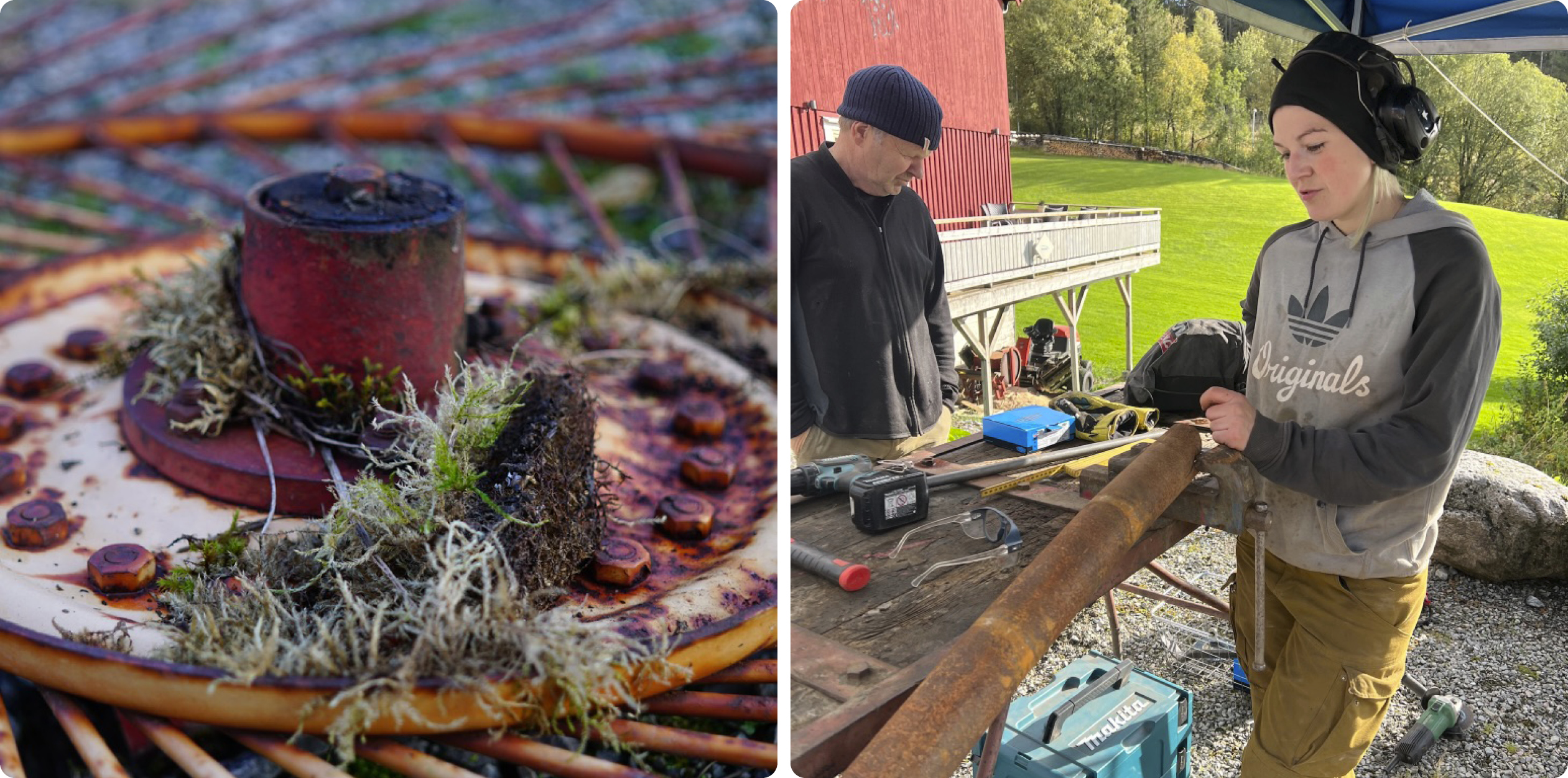 Till vänster: Närbild av ett rostigt hjul från en gammal hövändare, med mossa på metallens yta. Till höger: Moa Olofsdotter arbetar med delar från hövändaren och förbereder dem inför svetsning.