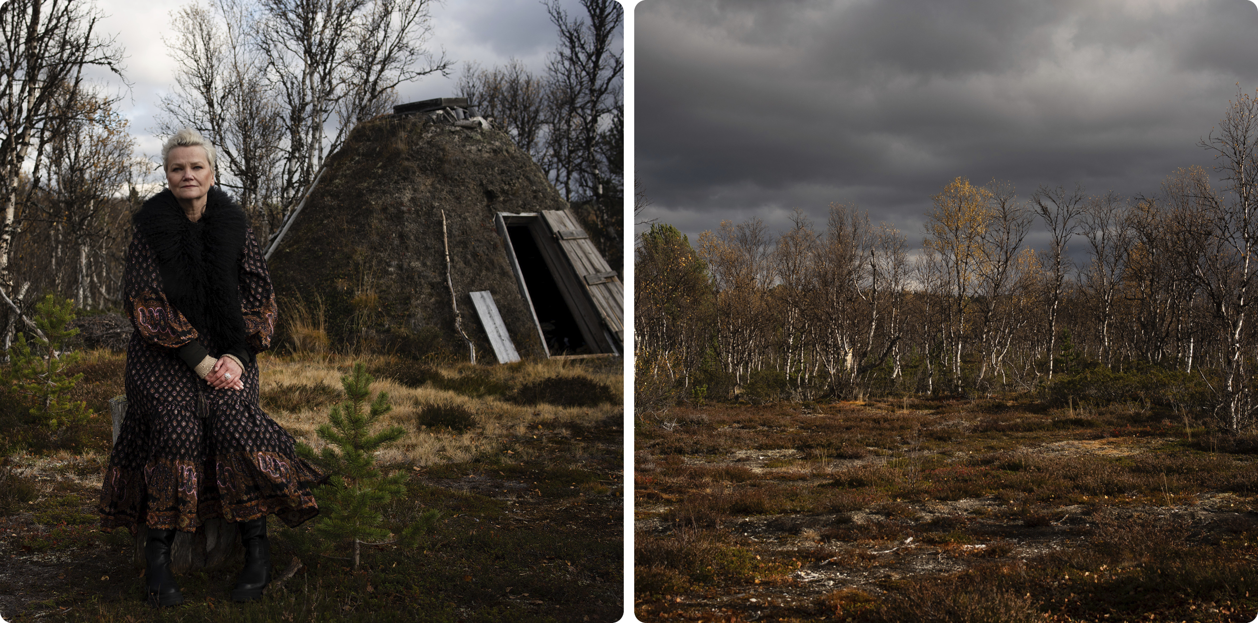 Till vänster: Astri Hansen Juvik sitter på en stubbe, i en glänta i skogen, framför en kåta. Till höger: Fjällbjörkar i höstfärger omger en skogsglänta, mörka moln ovanför. 
