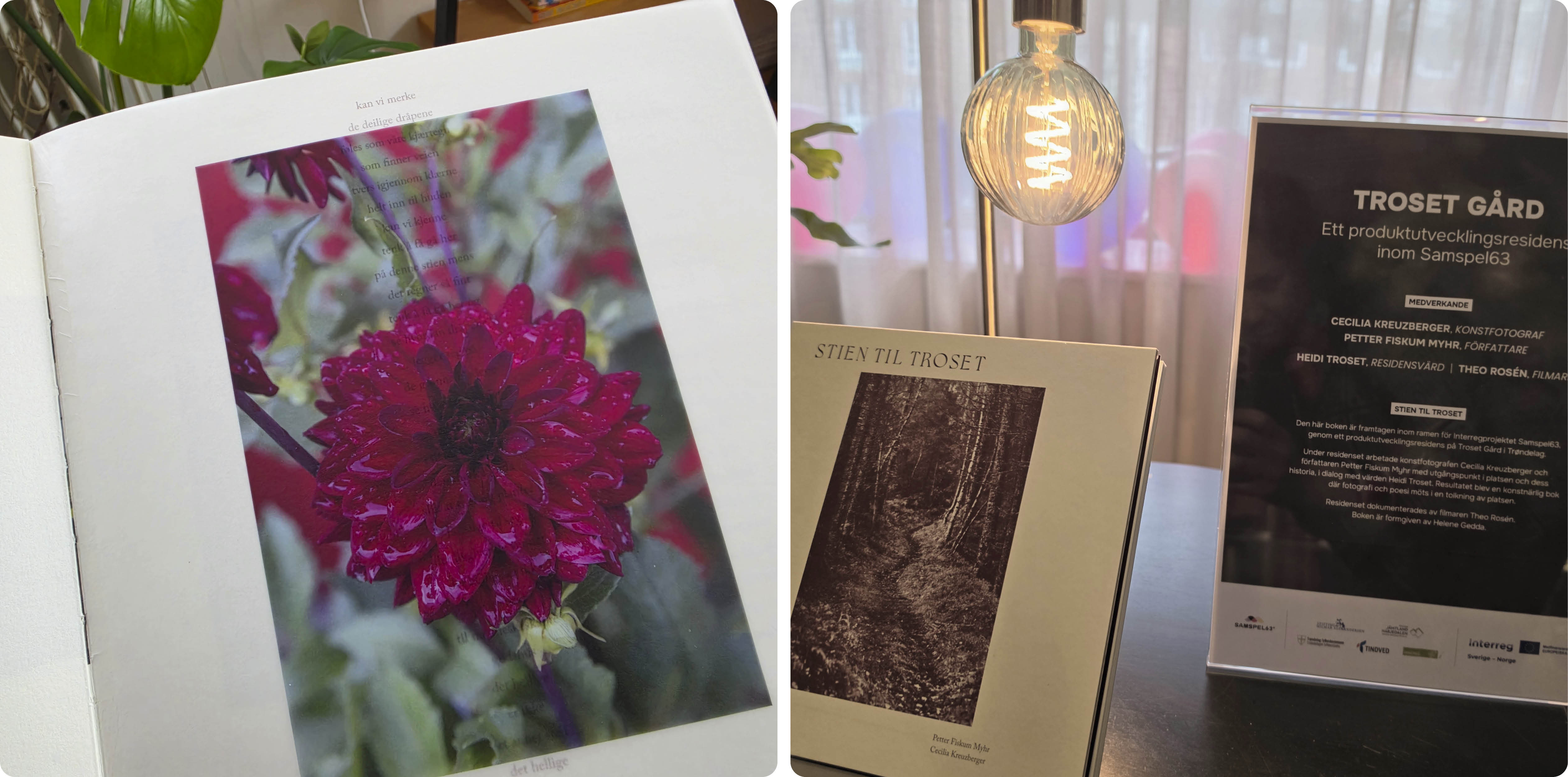 Till vänster: En sida i boken med en röd Dahlia tryckt på transperent papper, så att texten bakom lyser igenom. Till höger: Boken Stien til Troset står uppställd på ett bord, med en dekorativ lampa och en skylt med information om residenset. 