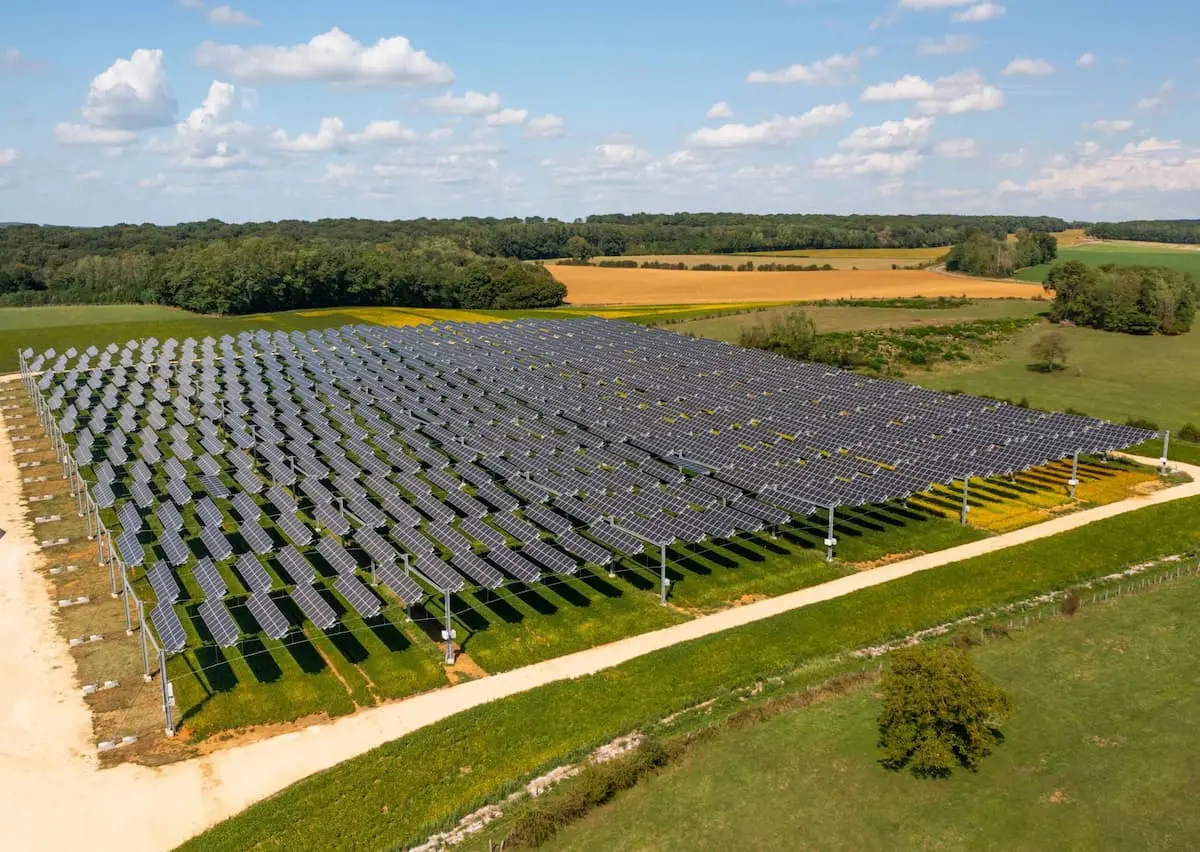 Les ondes de la canopée agricole sont-elles dangereuses ?