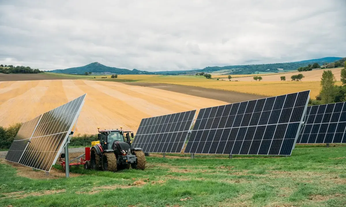 L’agrivoltaïsme, un allié pour atténuer l’impact du changement climatique sur les grandes cultures