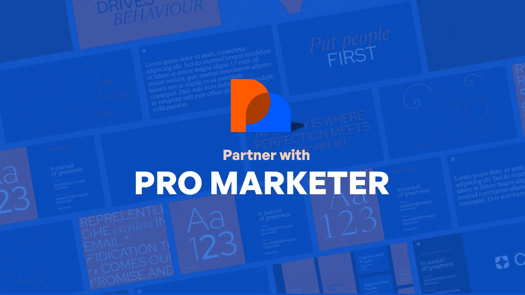 How to Avoid All Mistakes: Partner with Pro Marketer