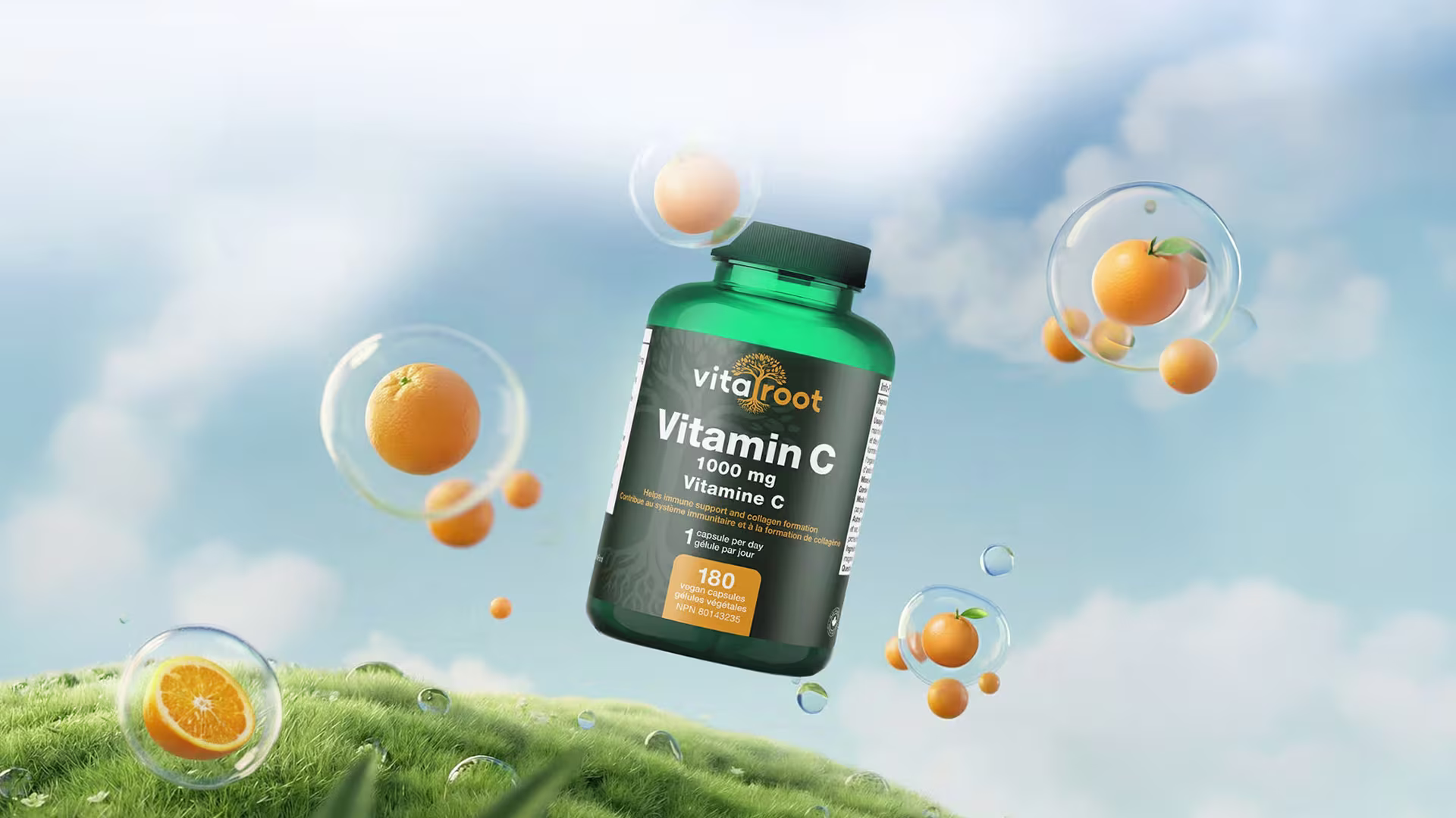 VitaRoot
