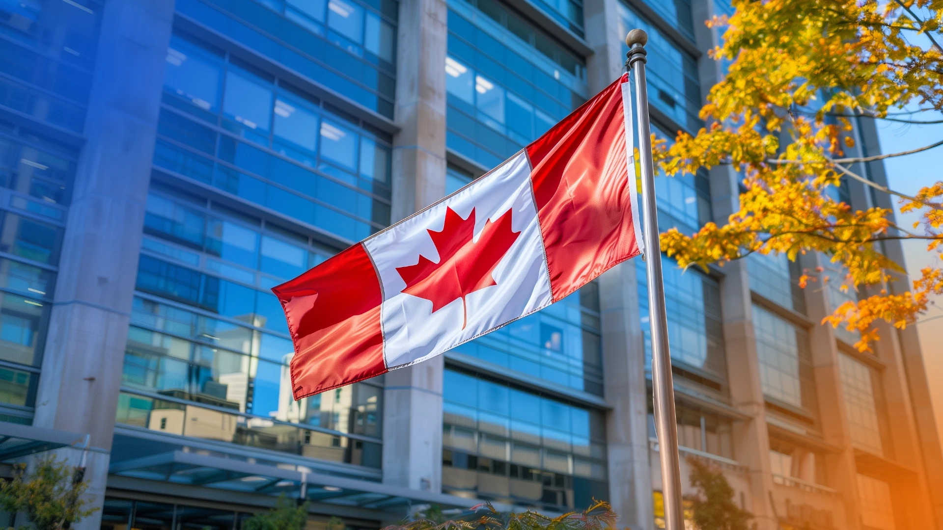 Why Canadian Businesses Need a Google Ads Agency in 2026