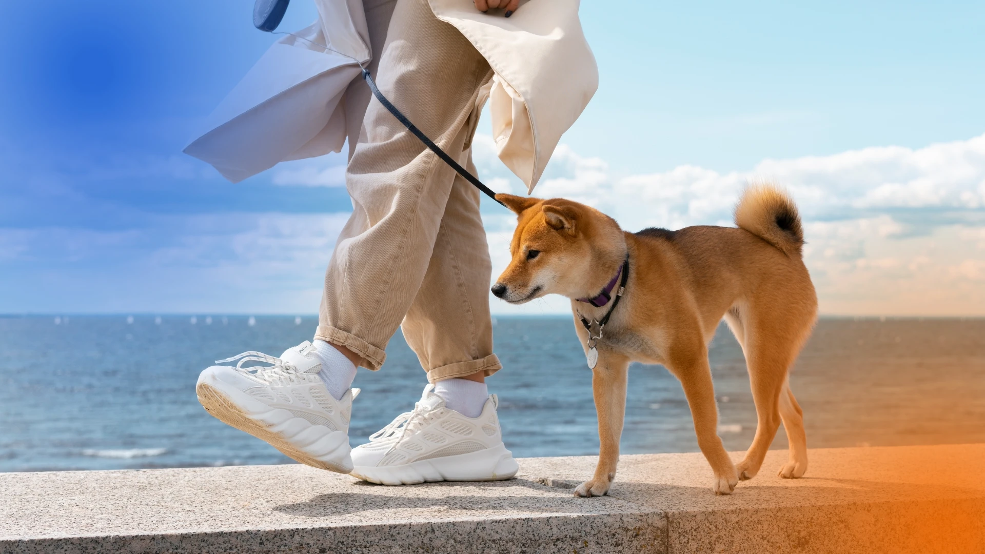 Why Marketing a Dog Walking Business Is Different