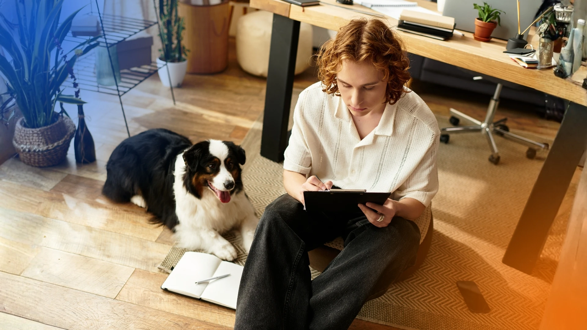 Best Dog Trainer Marketing Agencies