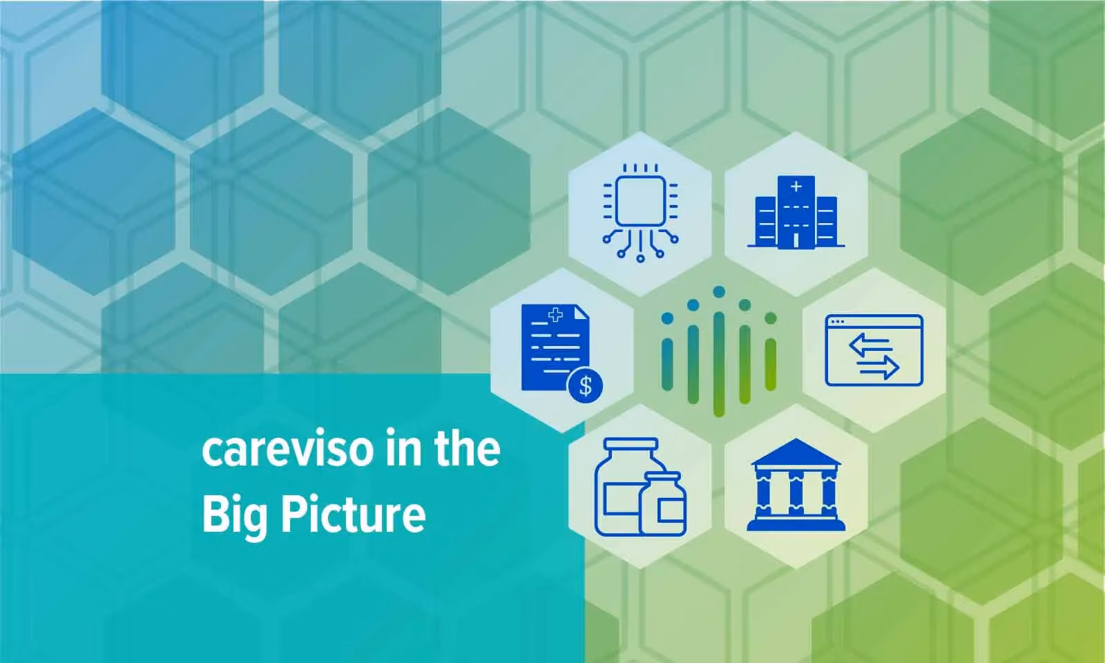 6 graphic icons that represent navigating within a complex and confusing healthcare system and title "careviso in the Big Picture"