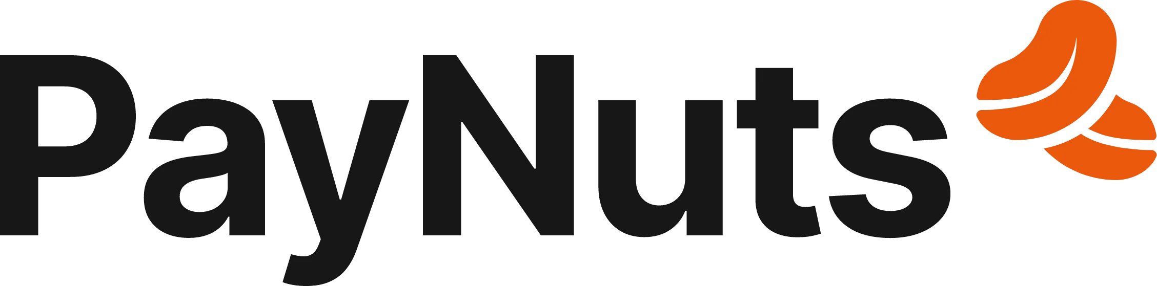 Paynuts company logo