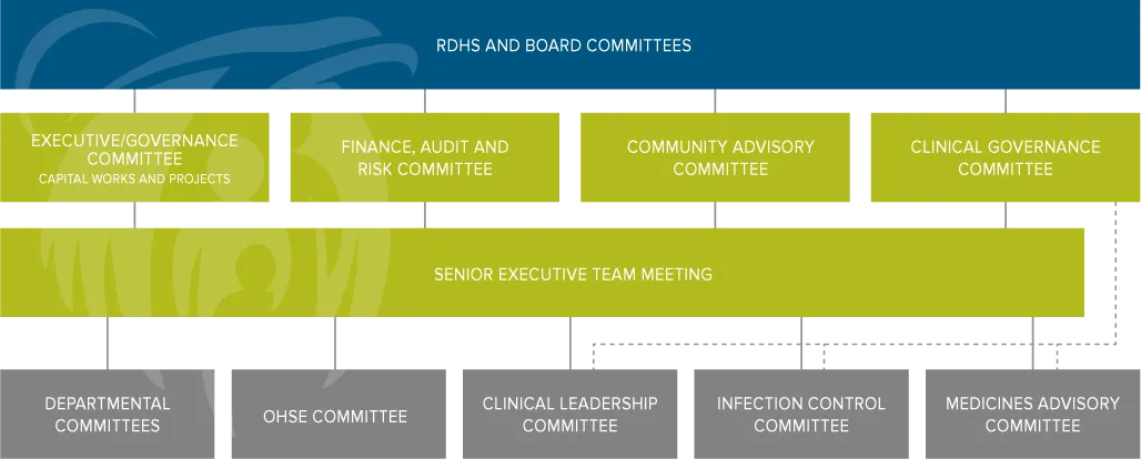 RDHS Committee Structure