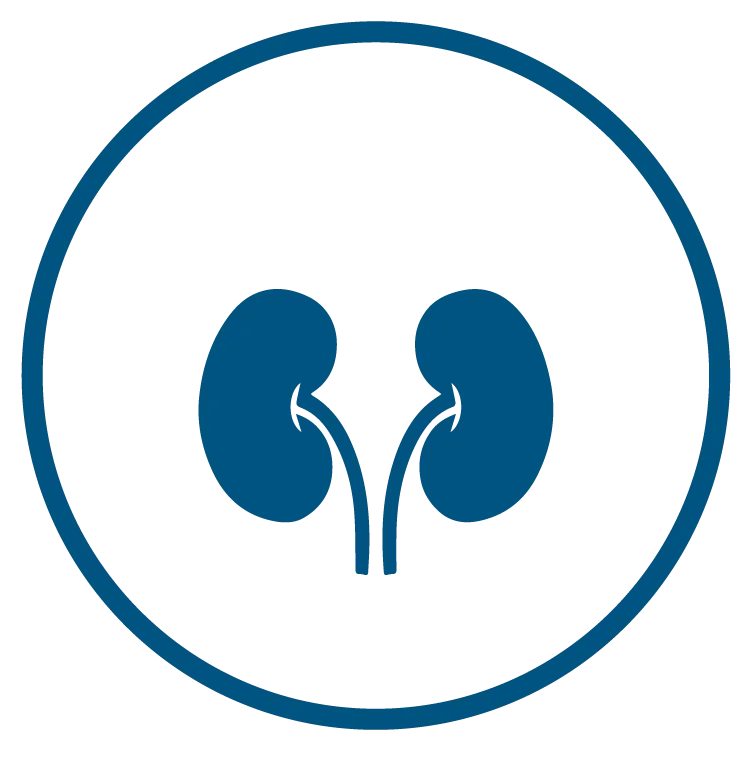 Renal Dialysis
