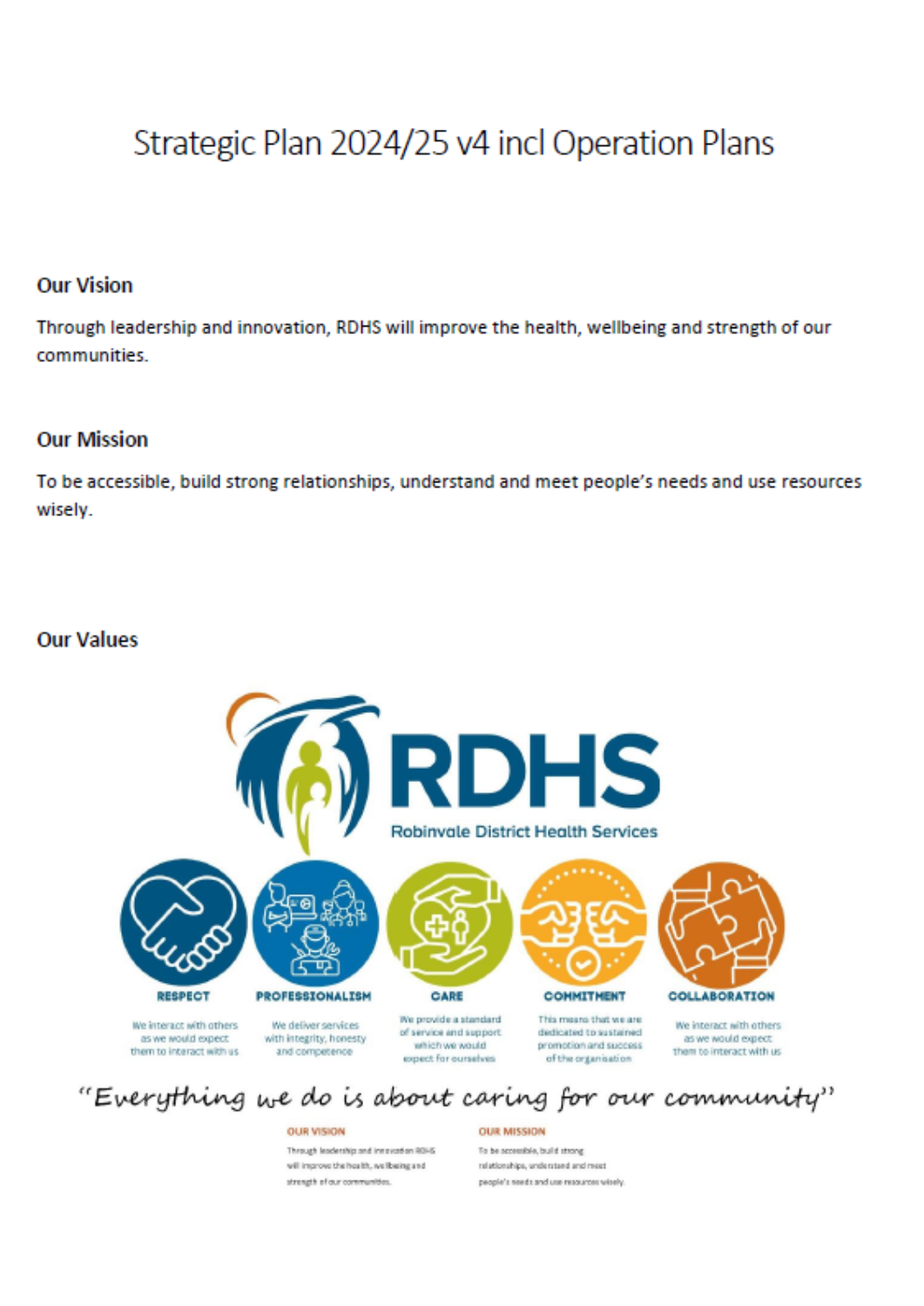 rdhs-strategic-plan