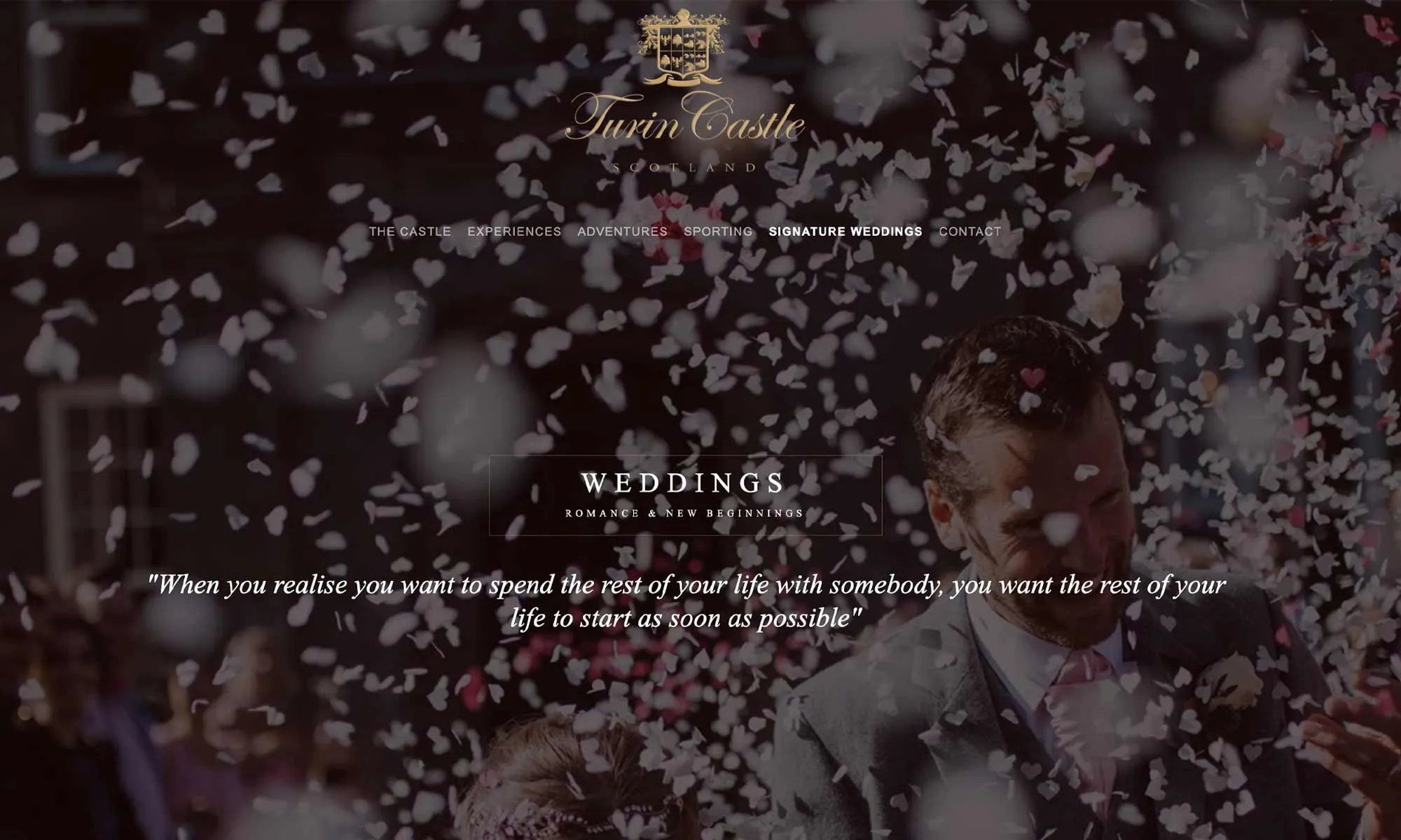 Brand and website designer John Hamlin