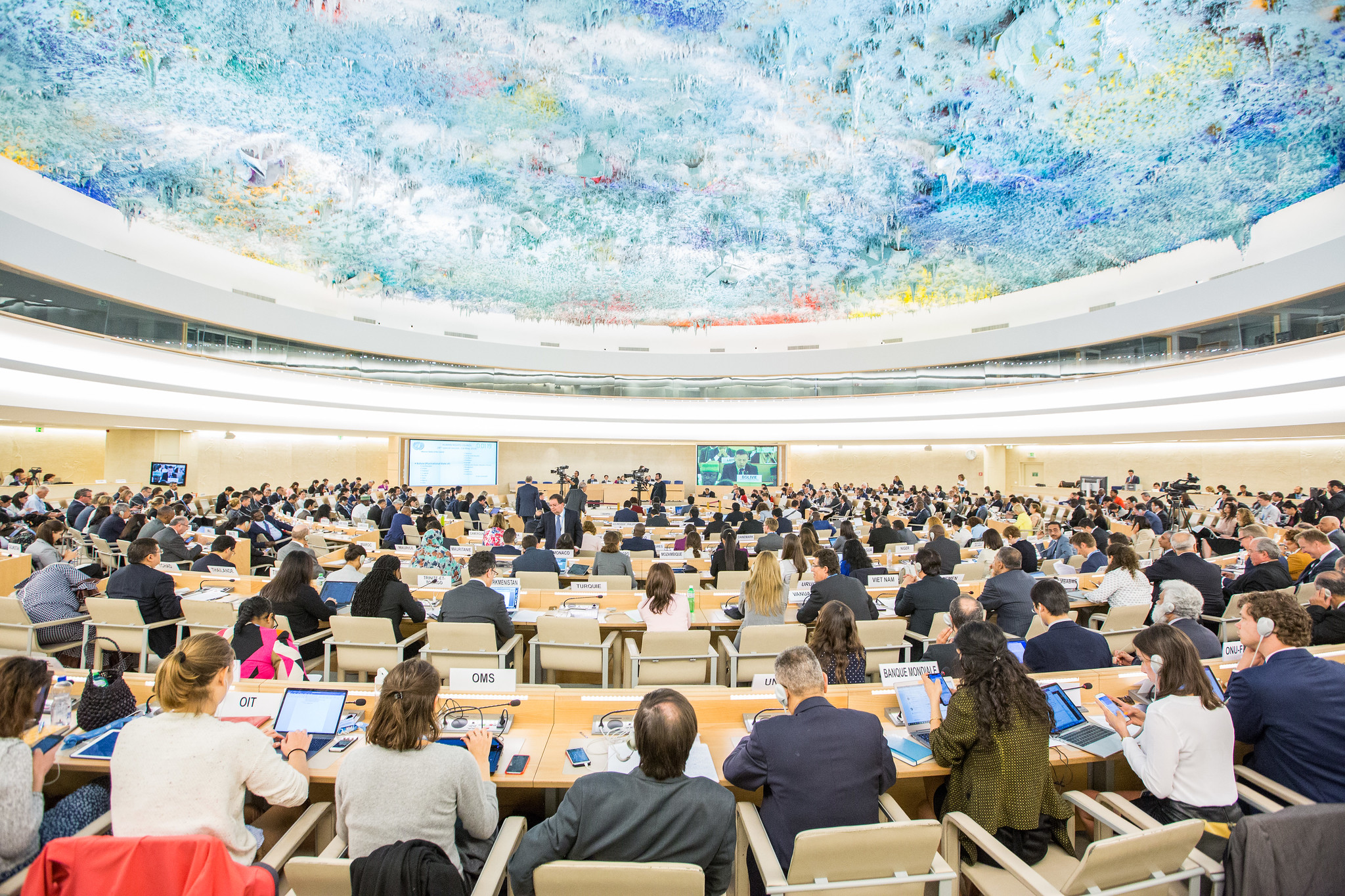 Strengthening the UN Human Rights Council: Pathways to Enhanced Credibility and Effectiveness