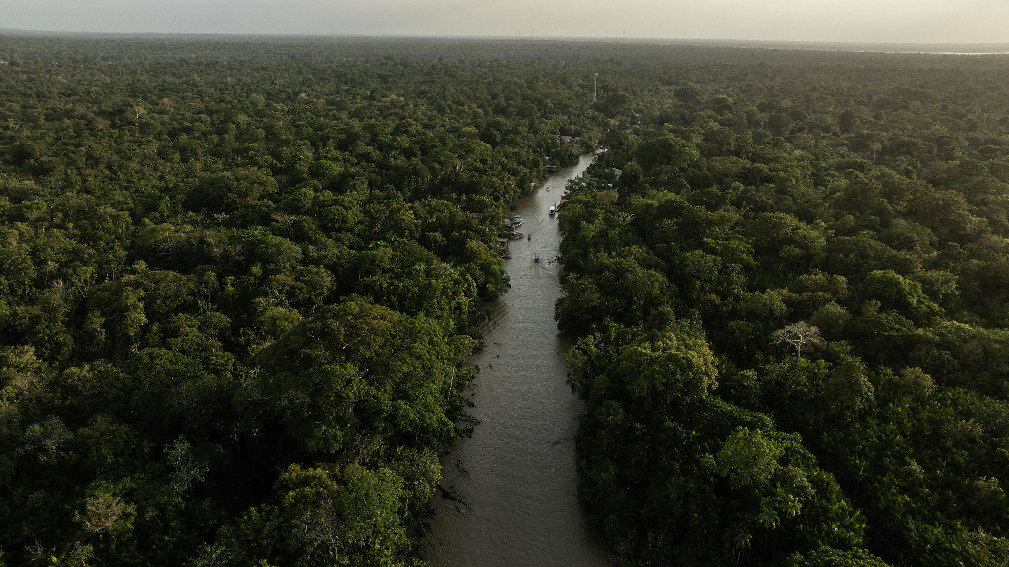 Act Now or Lose Momentum: Delivering on COP30’s Unfinished Climate–Biodiversity Agenda in 2026