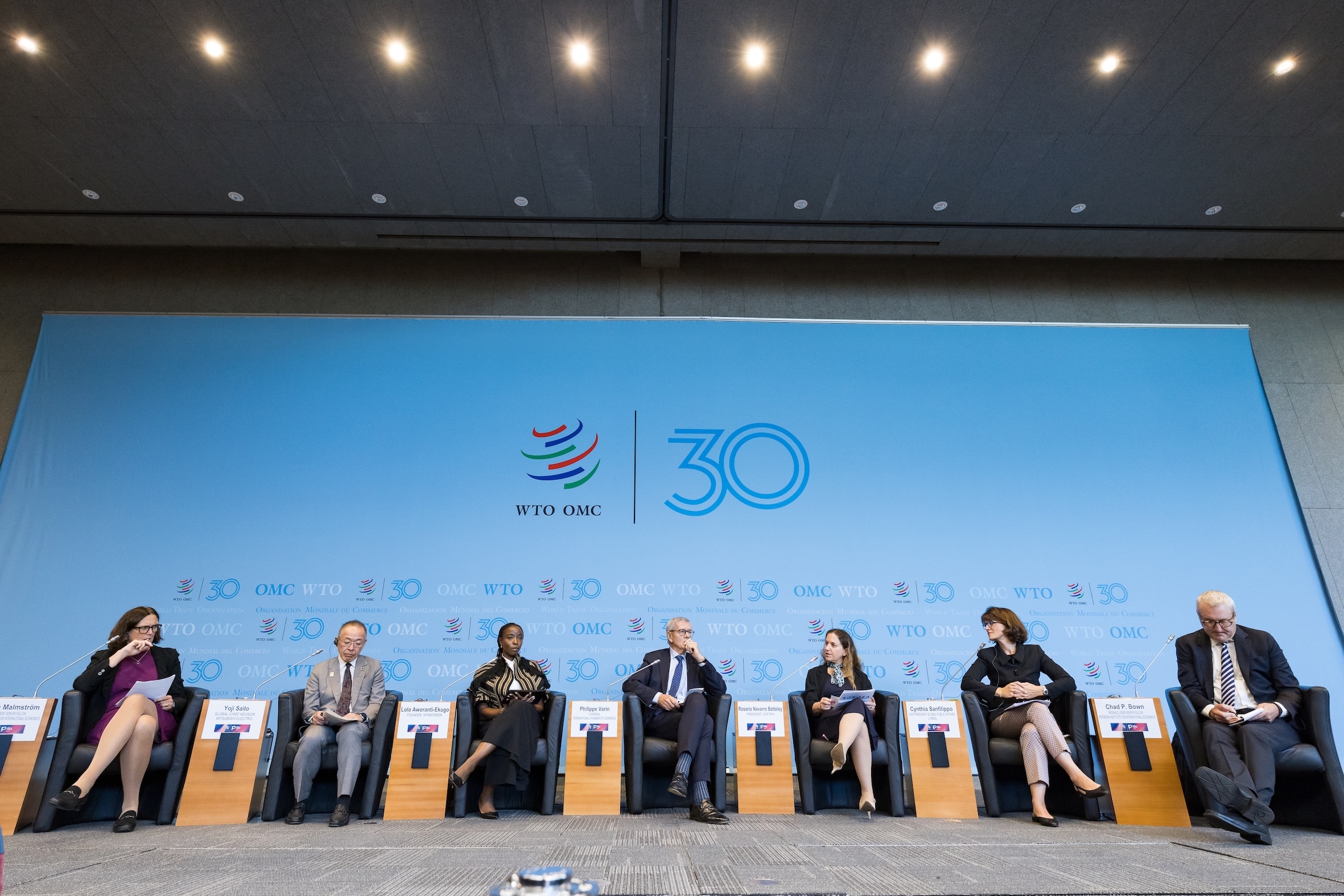 The WTO Between Two Worlds: Strategic Choices for EU Action