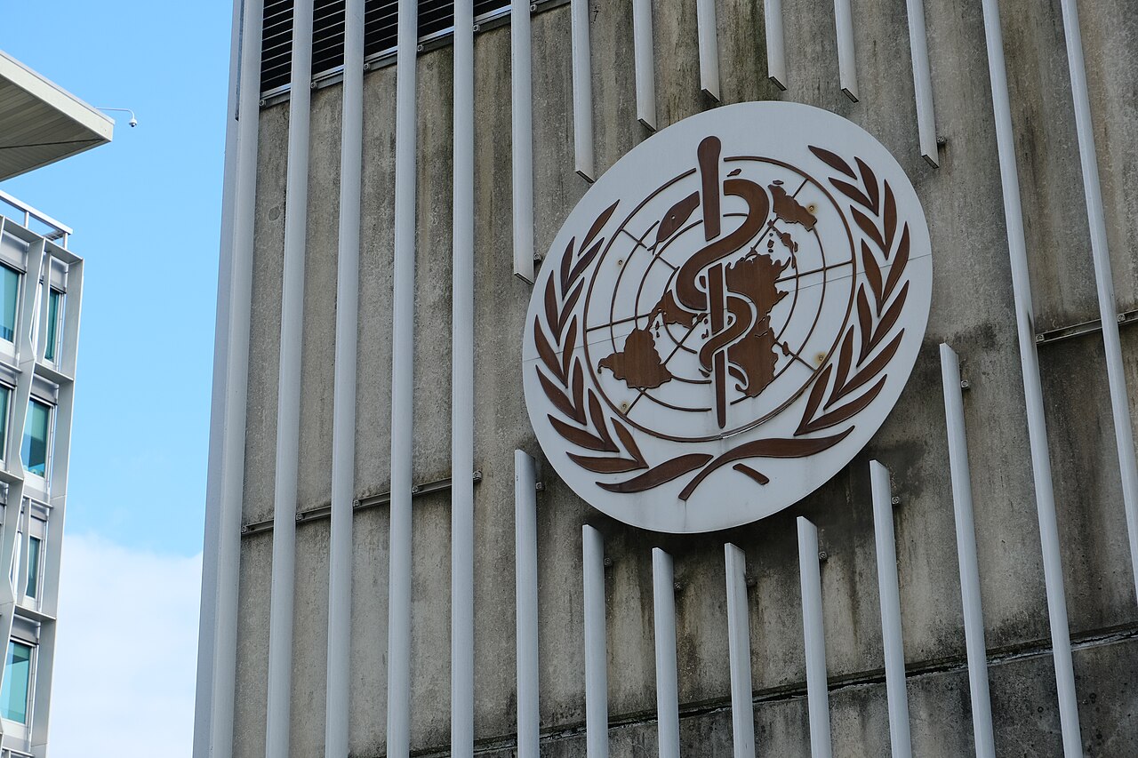 Safeguarding the WHO: A Prescription for an Effective EU Approach to Global Health