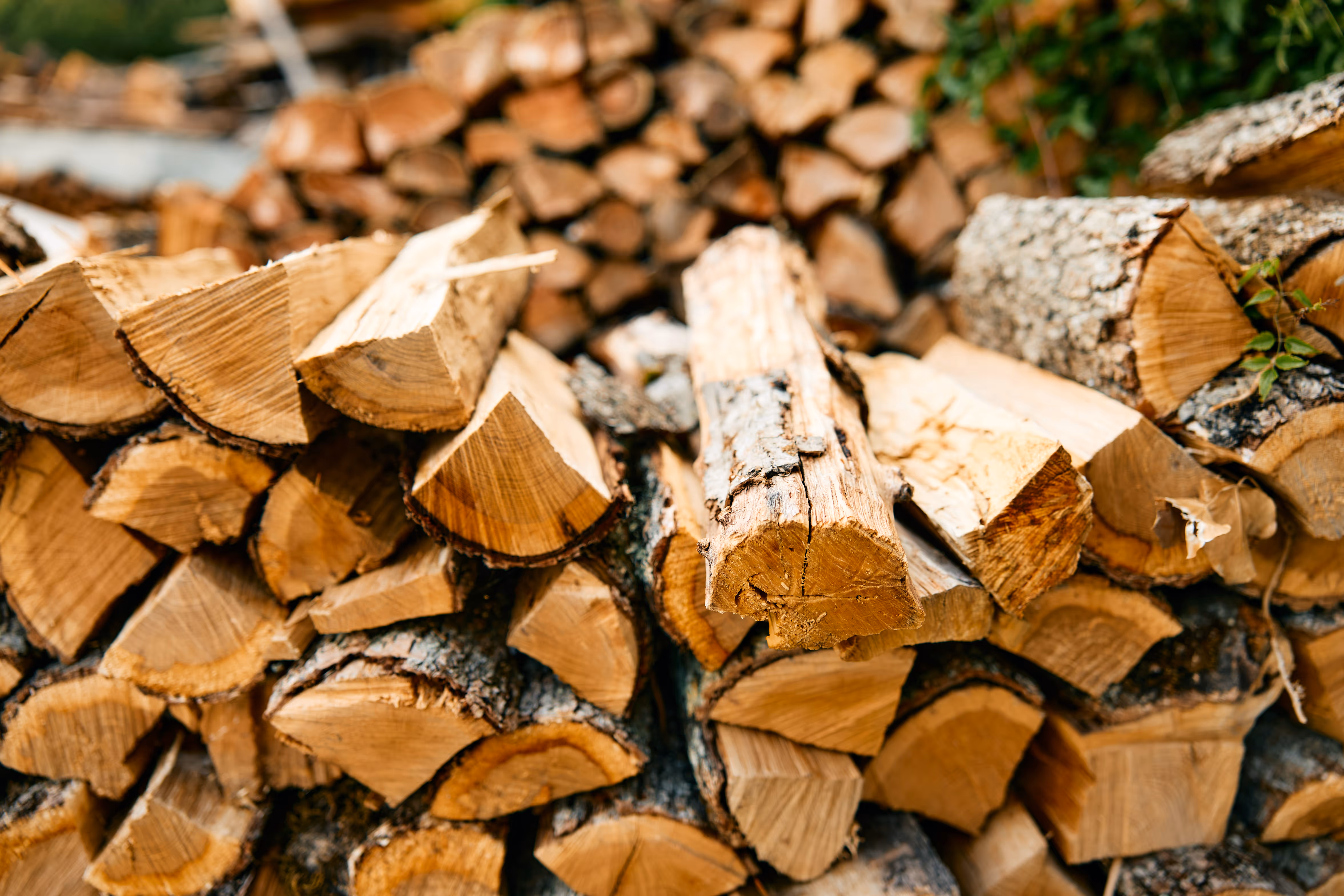 Ein großer Stapel mit Feuerholz.