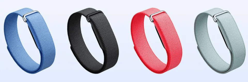 Picture of Google Fitbit tracker.