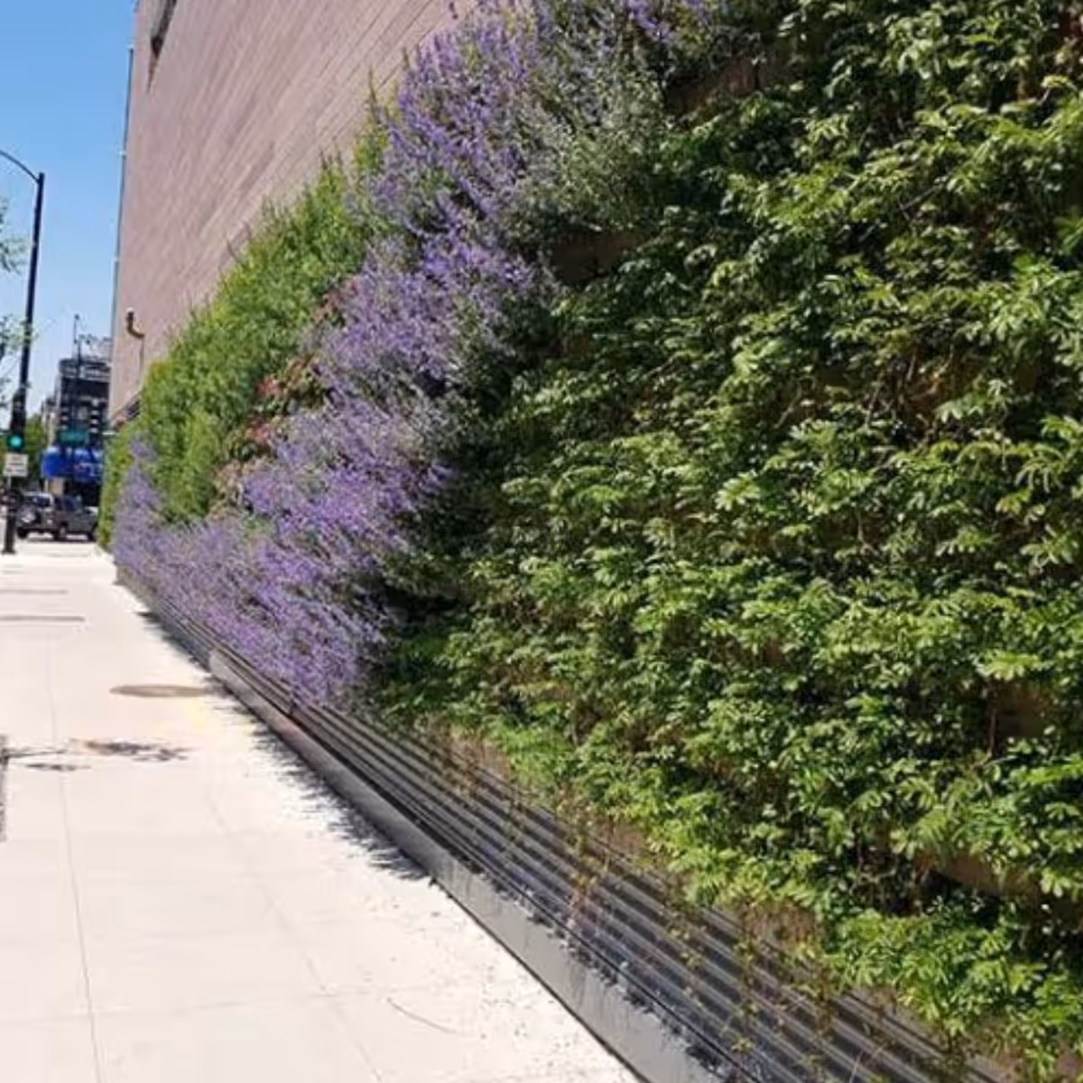 wall-with-flowers-commercial-sprinkler-option