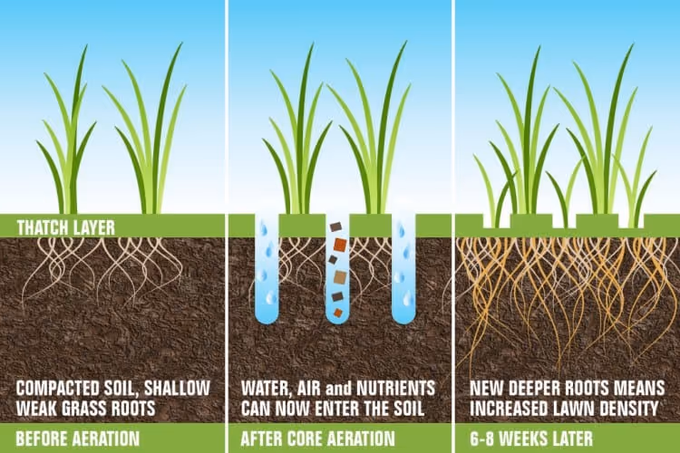 lawn-aeration-graphic-for-carefree-systems