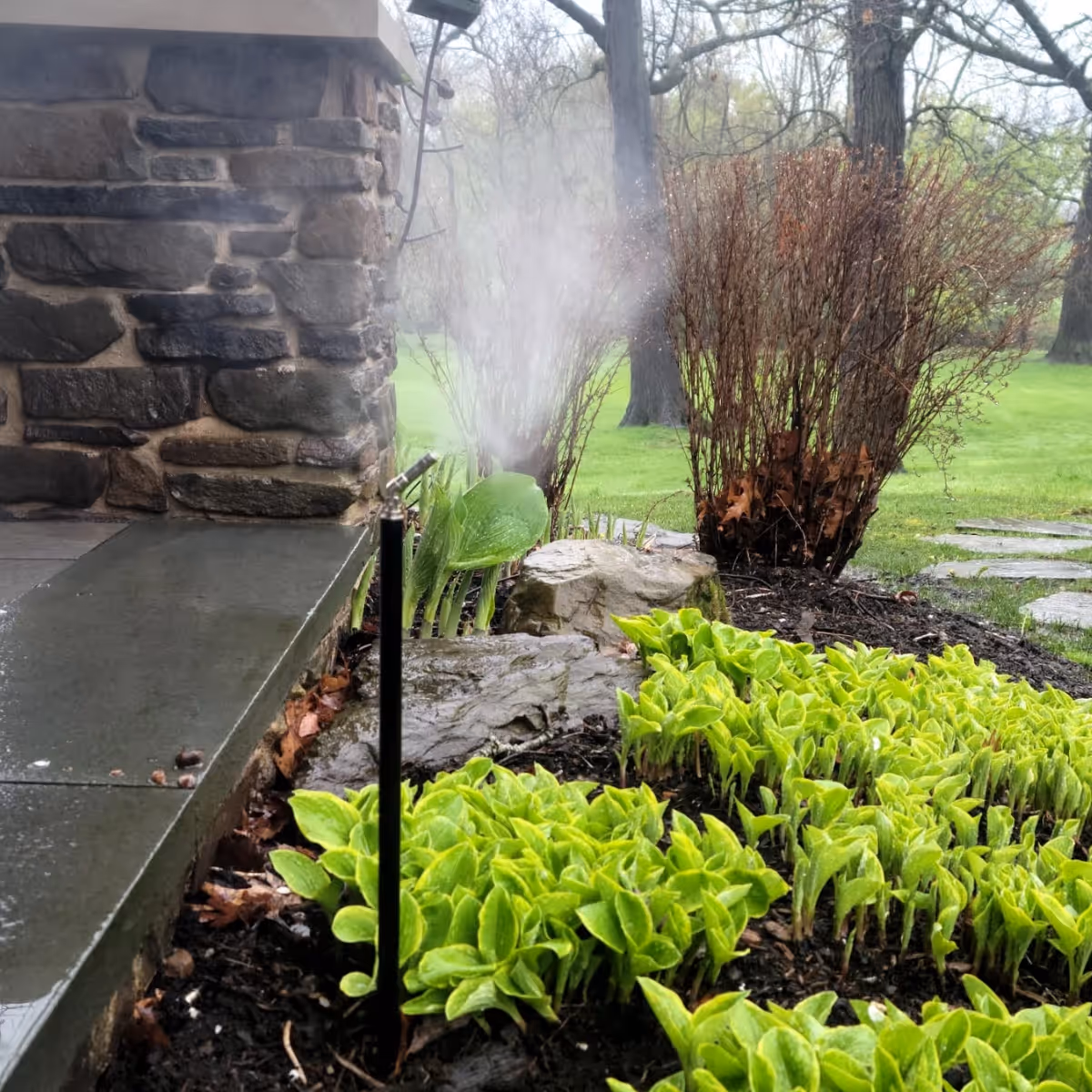 Garden sprinkler spraying water on green plants beside a stone patio and a brown bush.