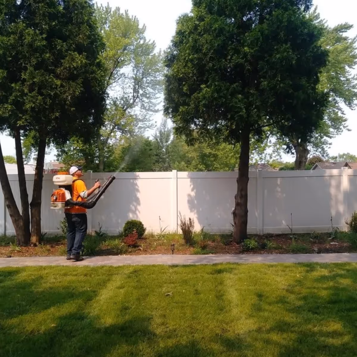 Worker wearing orange vest and cap spraying pesticide or treatment on trees in a garden with green grass and white fence background.