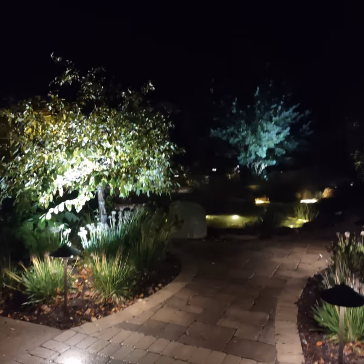 Curved stone pathway illuminated by outdoor lights among trees and plants at night.