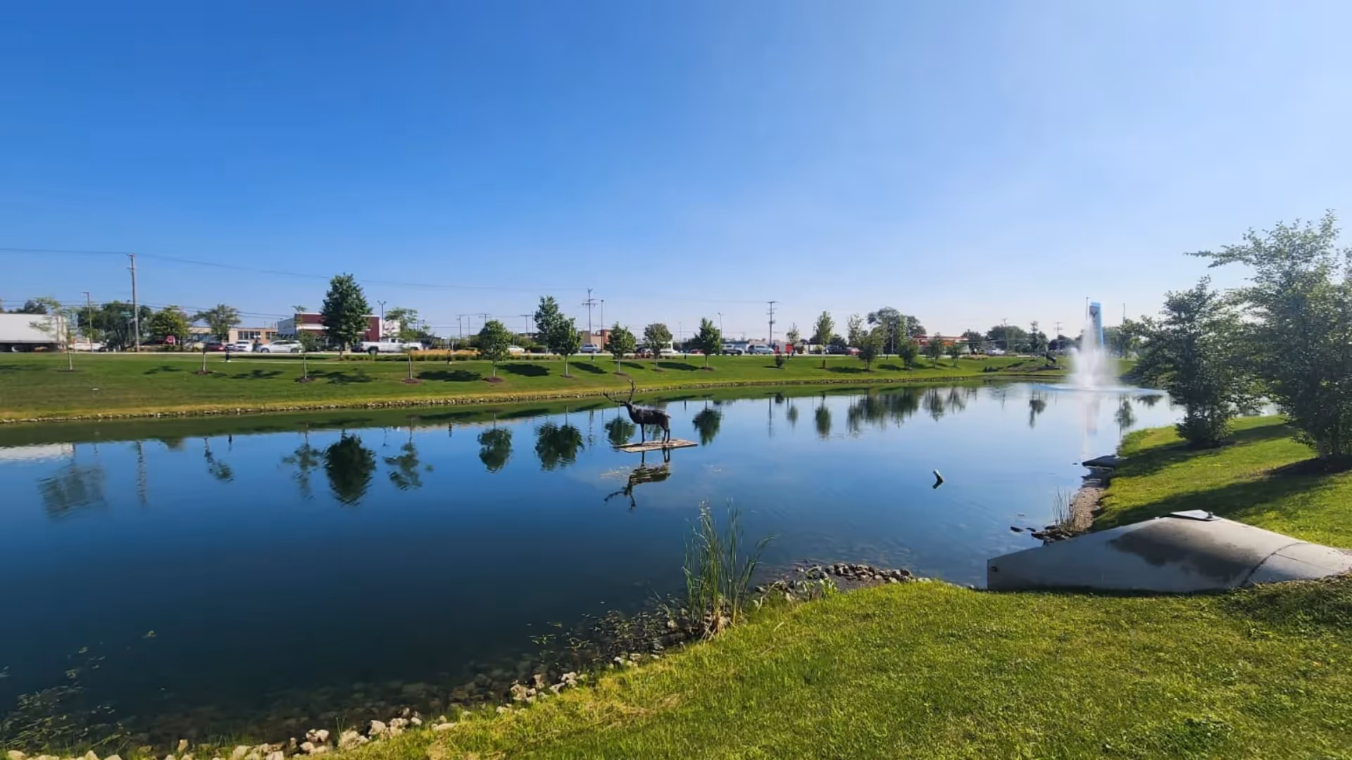 ponds-carefree-systems-blog