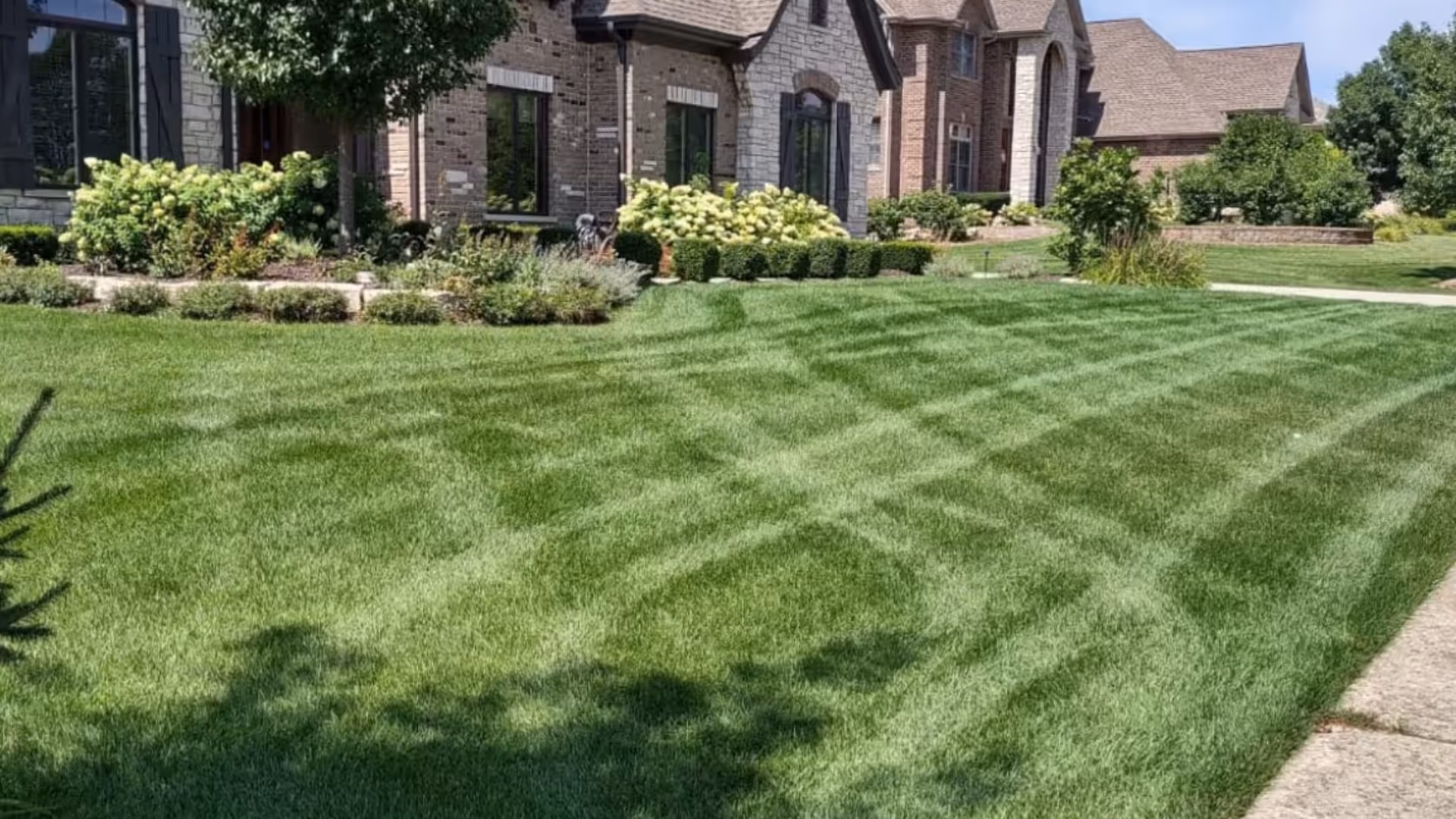 lawn-aeration-carefree-systems-blog