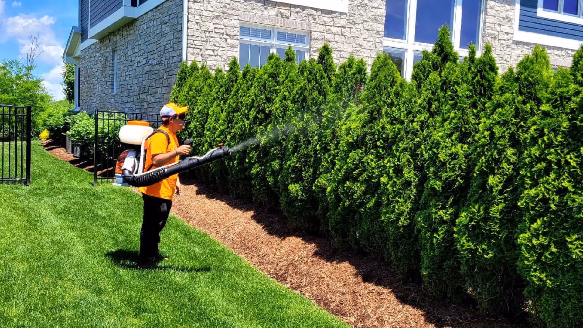 mosquito-services-carefree-systems-blog