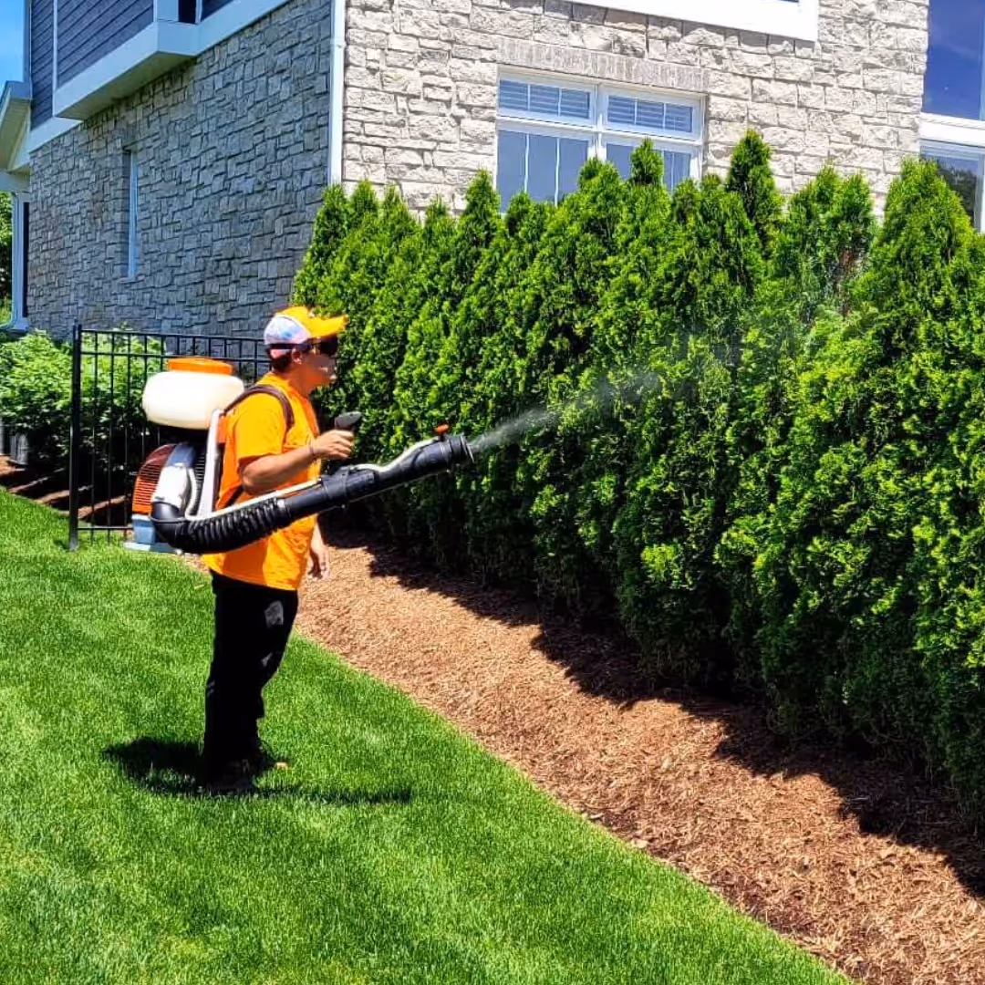 mosquito-control