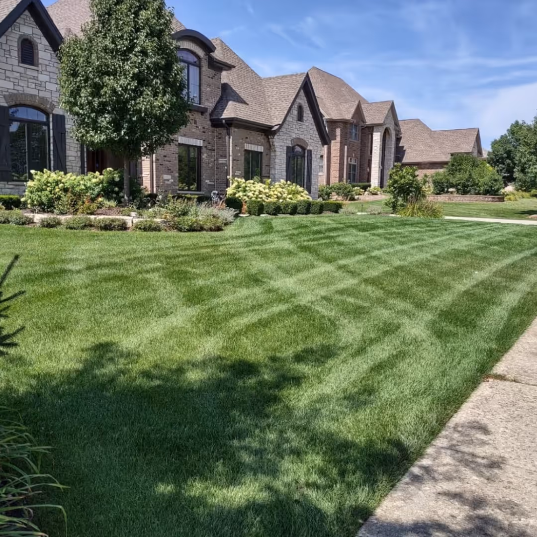 green-grass-after-fertilization-and-aeration