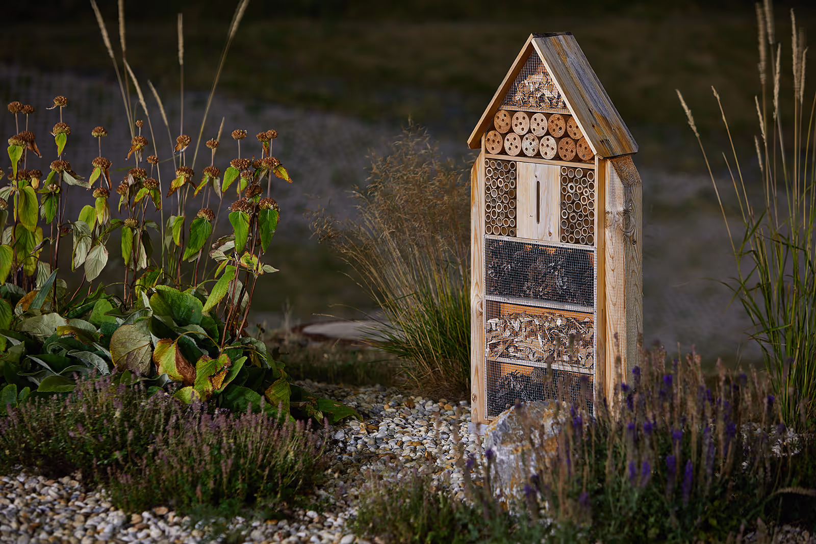 Fotografie 6 z galerie