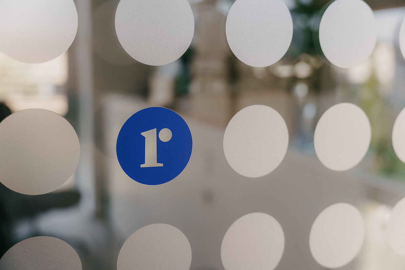 Fotografie 6 z galerie