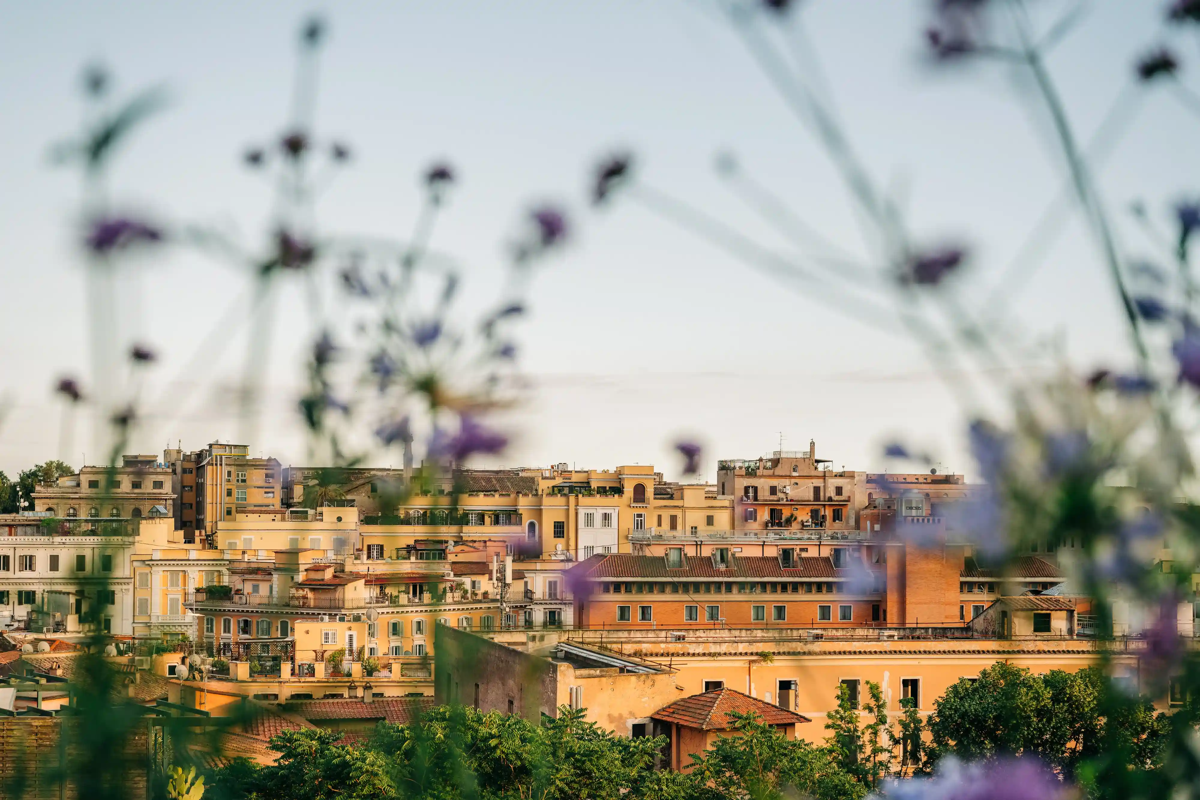 View of the city Casamonti