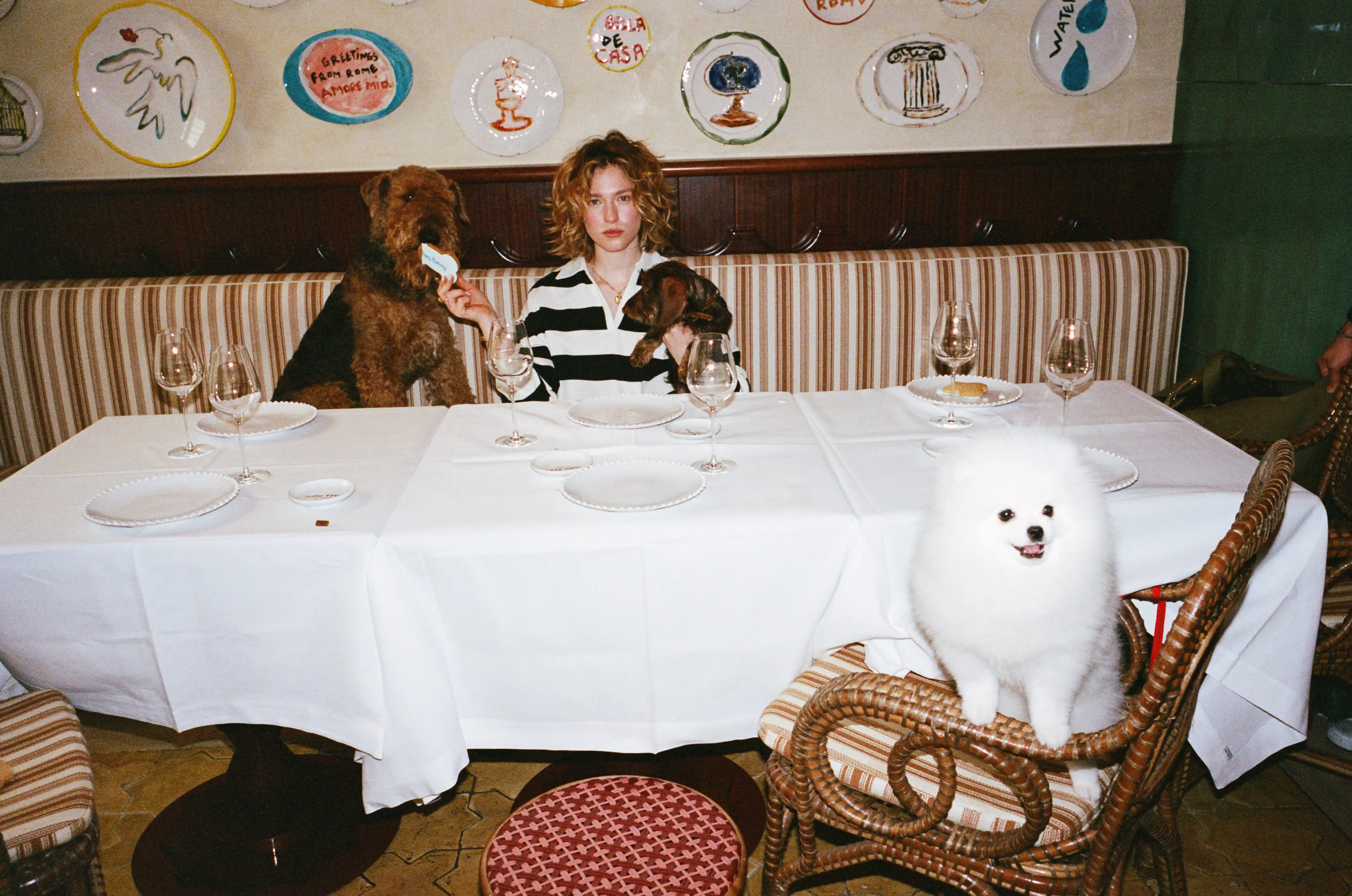 Dogs in the restaurant Casa Monti