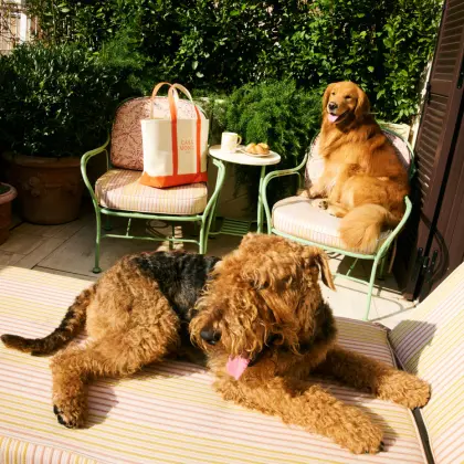 Dogs relaxing on a sunny garden terrace of Casa Monti