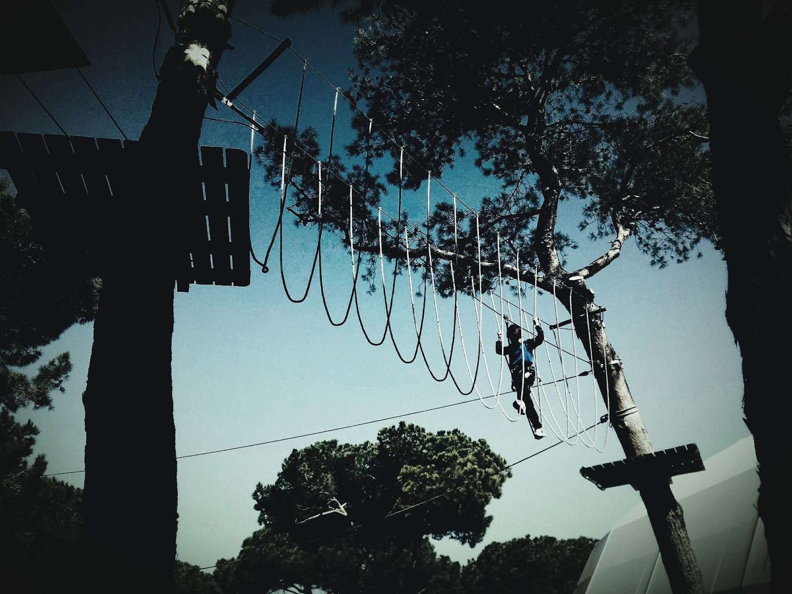 Take On An Obstacle Course At Forest Adventure